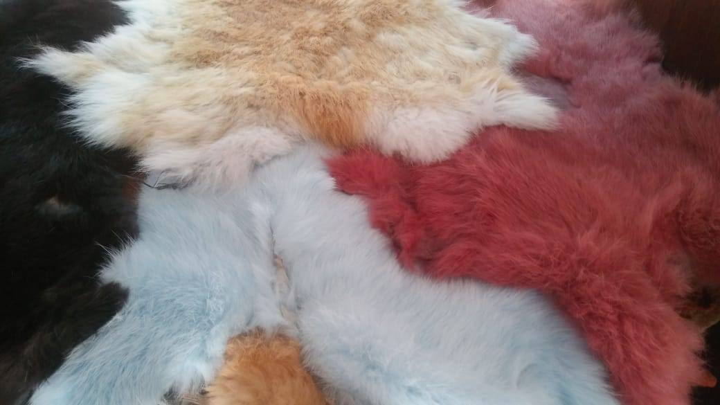 4dbc0f50-78a3-4ac2-ac3c-66ee4476aab8