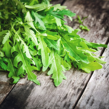 ARUGULA