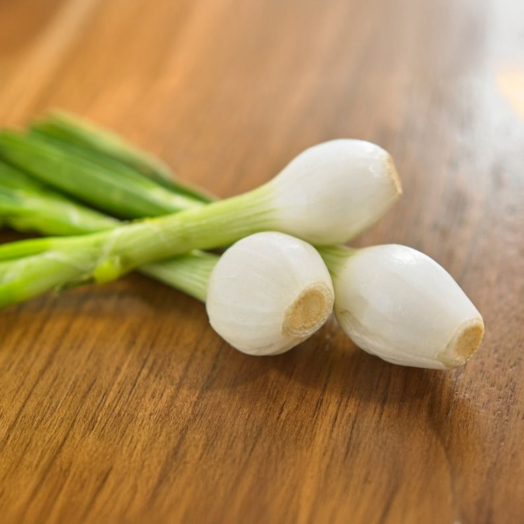 CEBOLLA DE CAMBRAY MACU