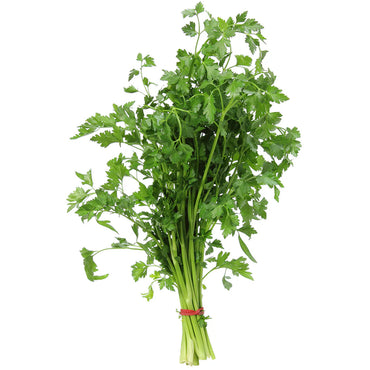 MANOJO CILANTRO MACU