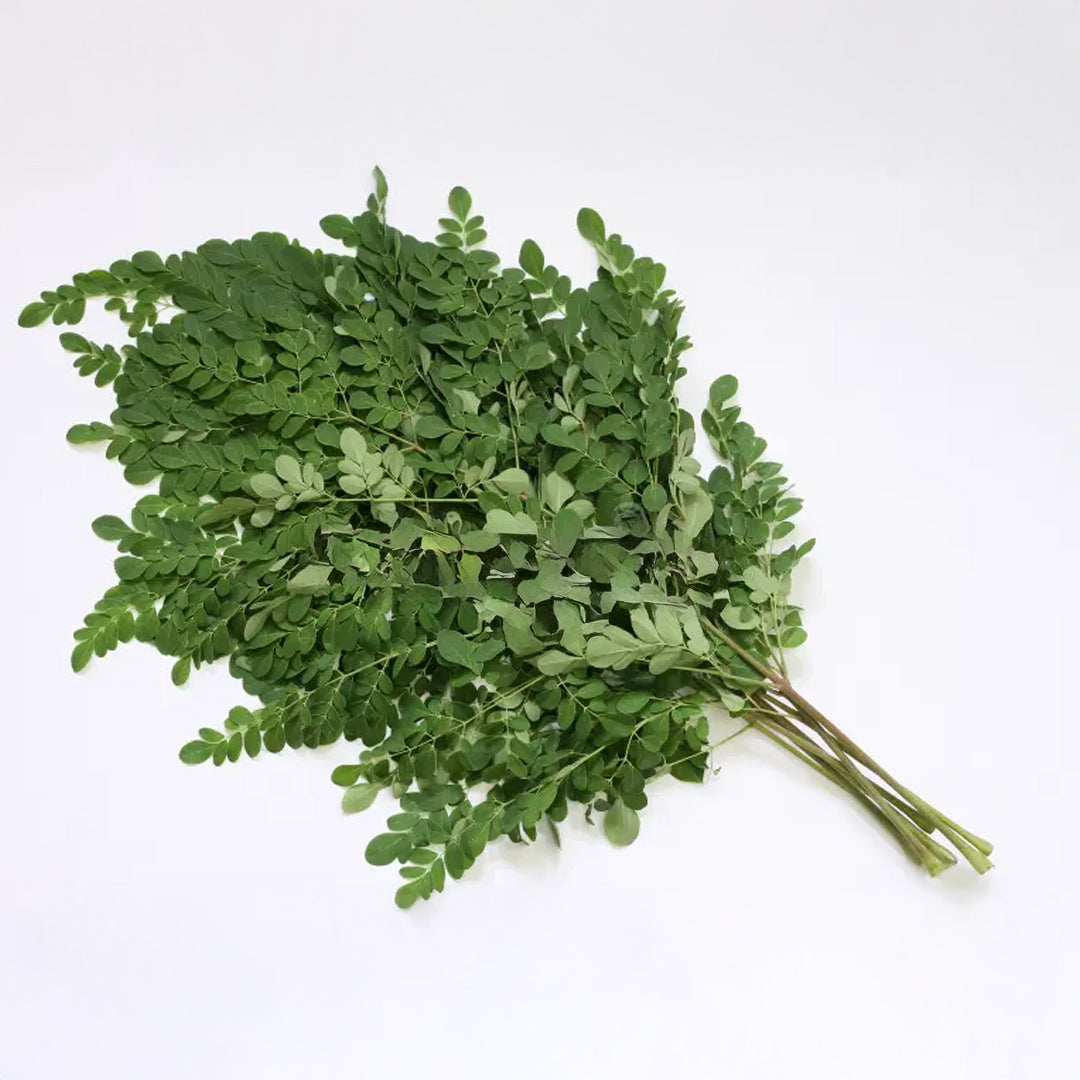 MANOJO FRESCO MORINGA
