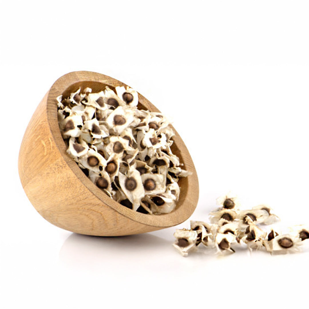 MORINGA EN SEMILLA BOLSA CON