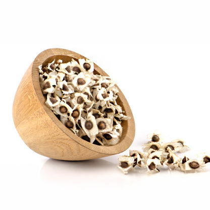 MORINGA EN SEMILLA BOLSA CON