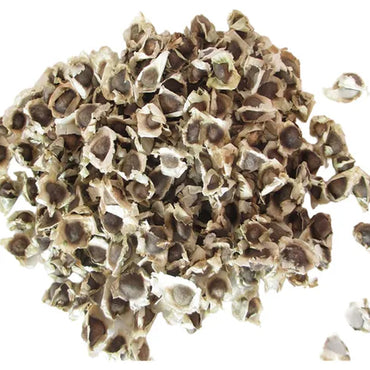 MORINGA EN SEMILLA BOLSA CON