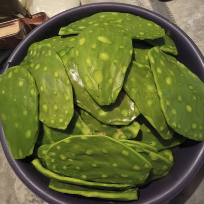 NOPAL