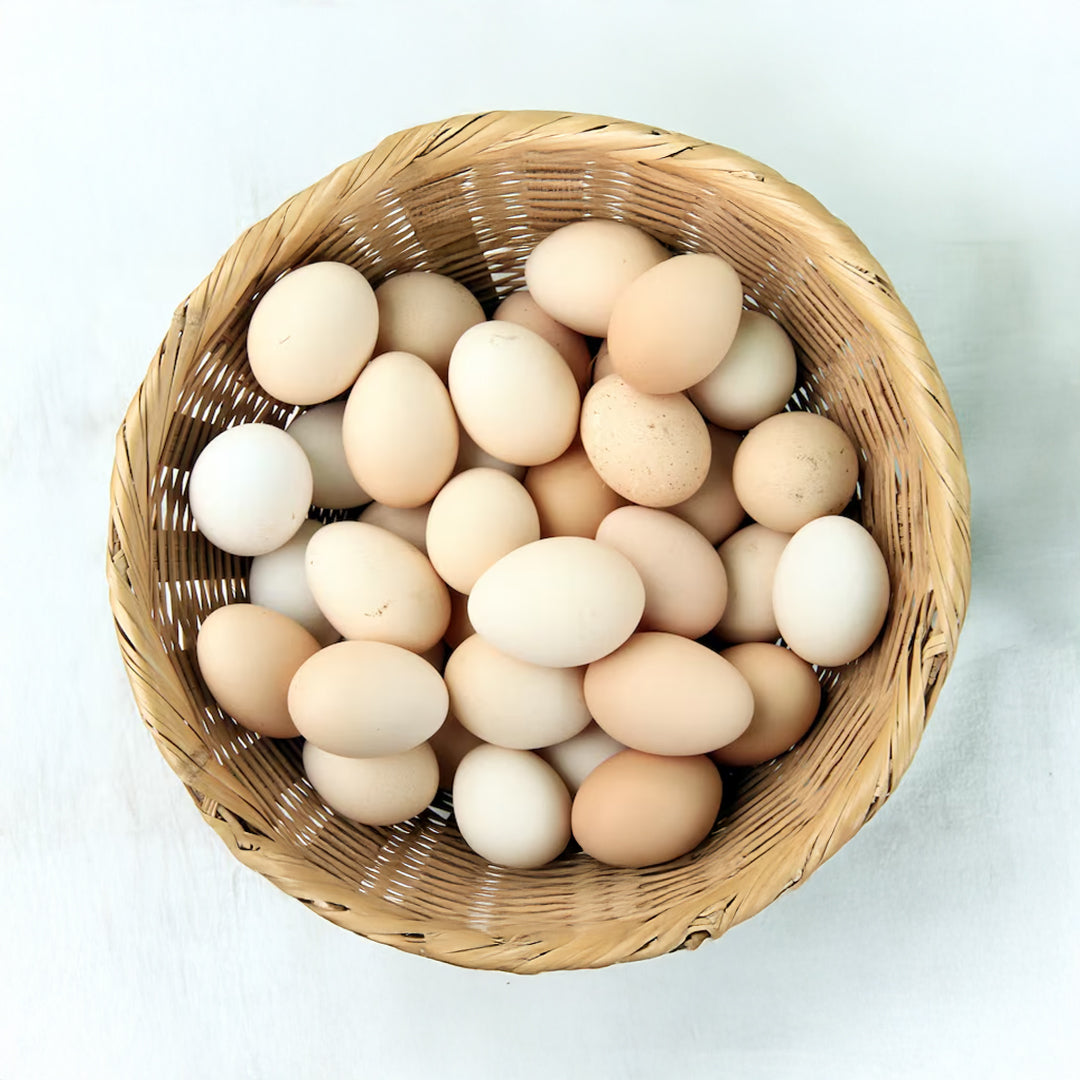 HUEVO FRESCO GALLINA LIBRE