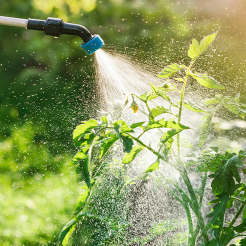 BIOL FERTILIZANTE LIQUIDO FOLEAR